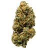 Northern Lights Strain