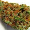 AK-47 Strain