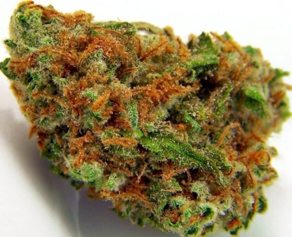 AK-47 Strain