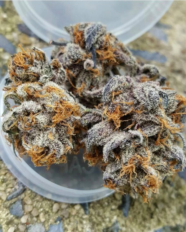 Banana Kush