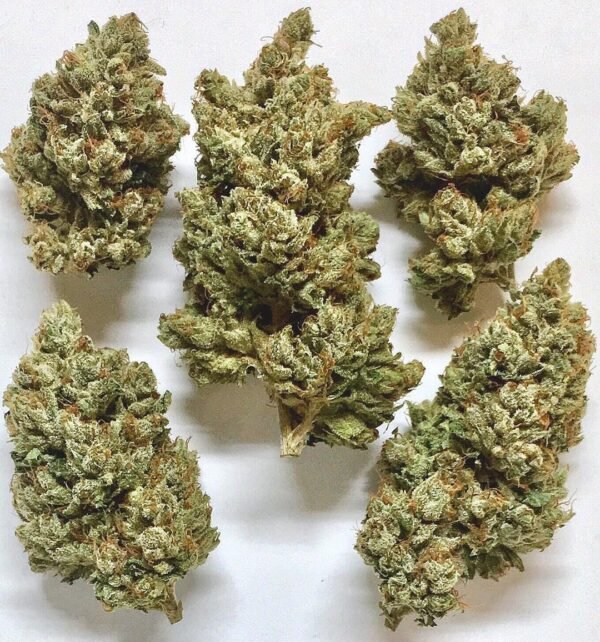 Blackberry Kush